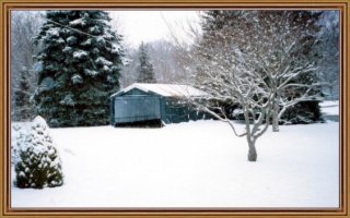 2 or 3 Car Garage Kits